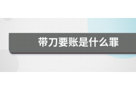 东平东平的要账公司在催收过程中的策略和技巧有哪些？